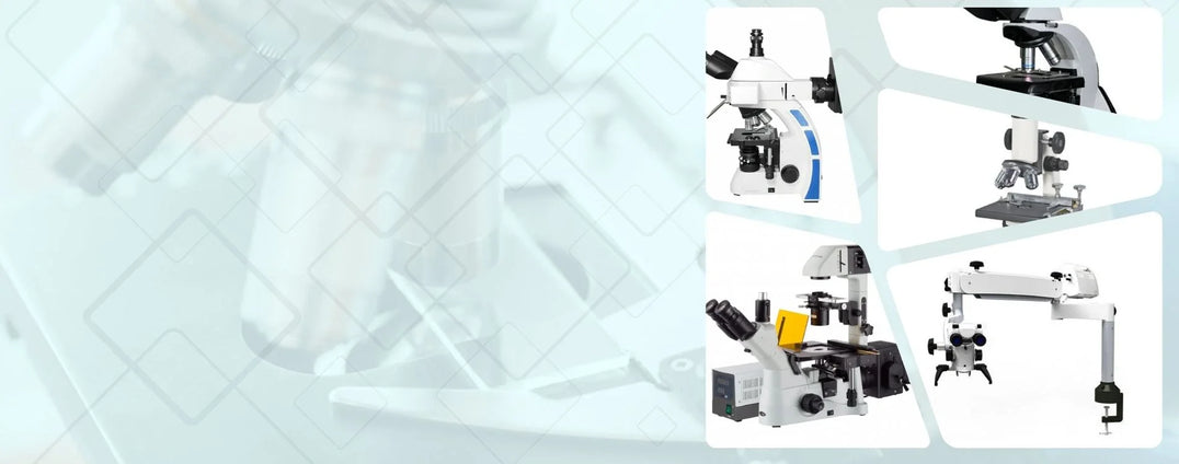 Compound Microscopes manufacturer and exporter India - Scilabex