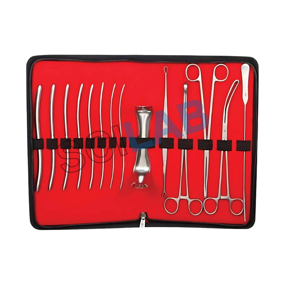 Surgical Instruments Set: 22 Pcs D&C with Kit Bag