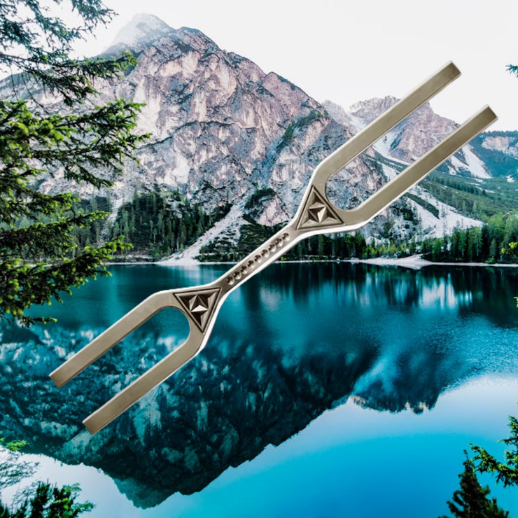 Tuning Fork – Precision Instrument for Sound and Vibration Experiments