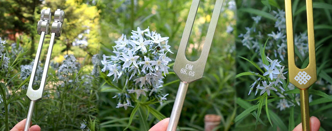 Chakra tuning forks