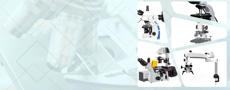 Compound Microscopes manufacturer and exporter India - Scilabex