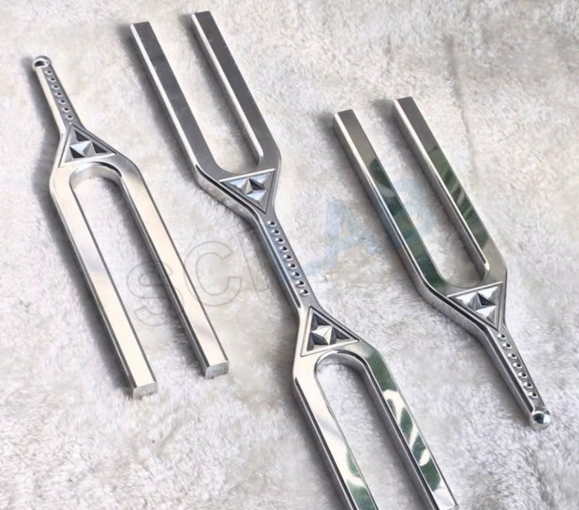 Giant Tuning Fork With Dna Key