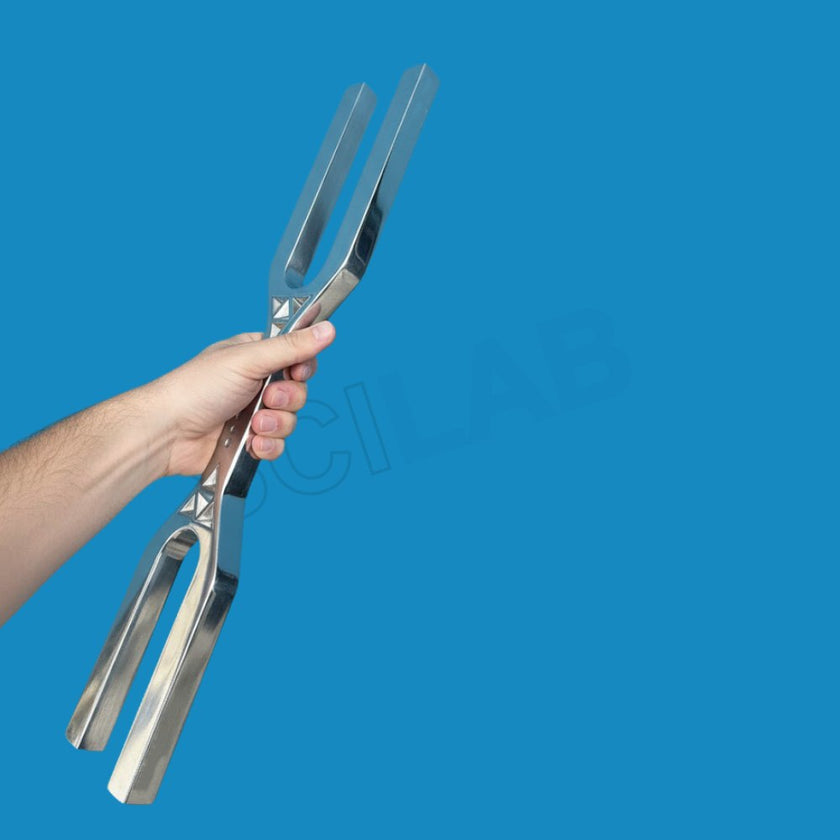 Giant Tuning Fork With Dna Key