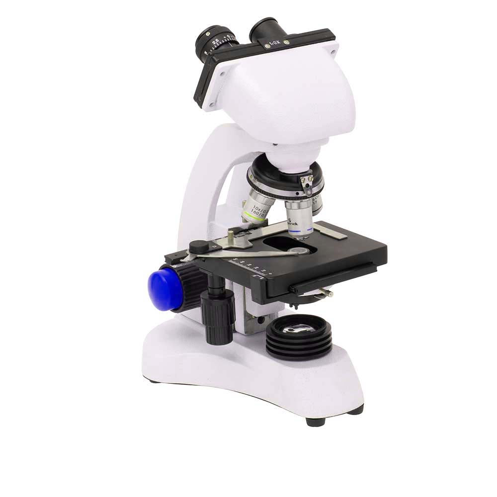 Binocular Microscope