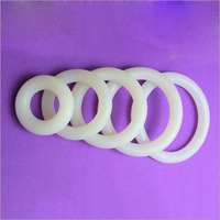 Pessary Ring with Support