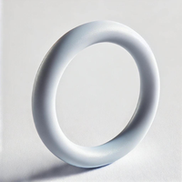 Pessary Ring with Support