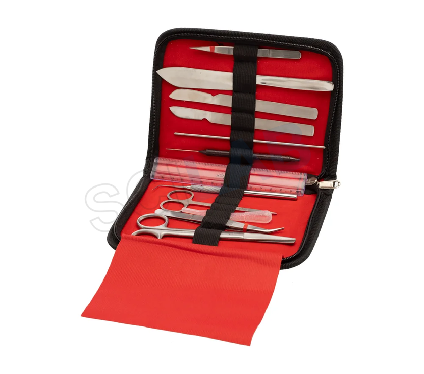 Dissecting Set, Intermediate
