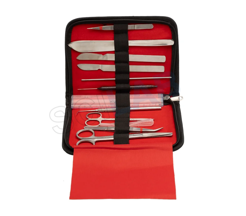 Dissecting Set, Intermediate
