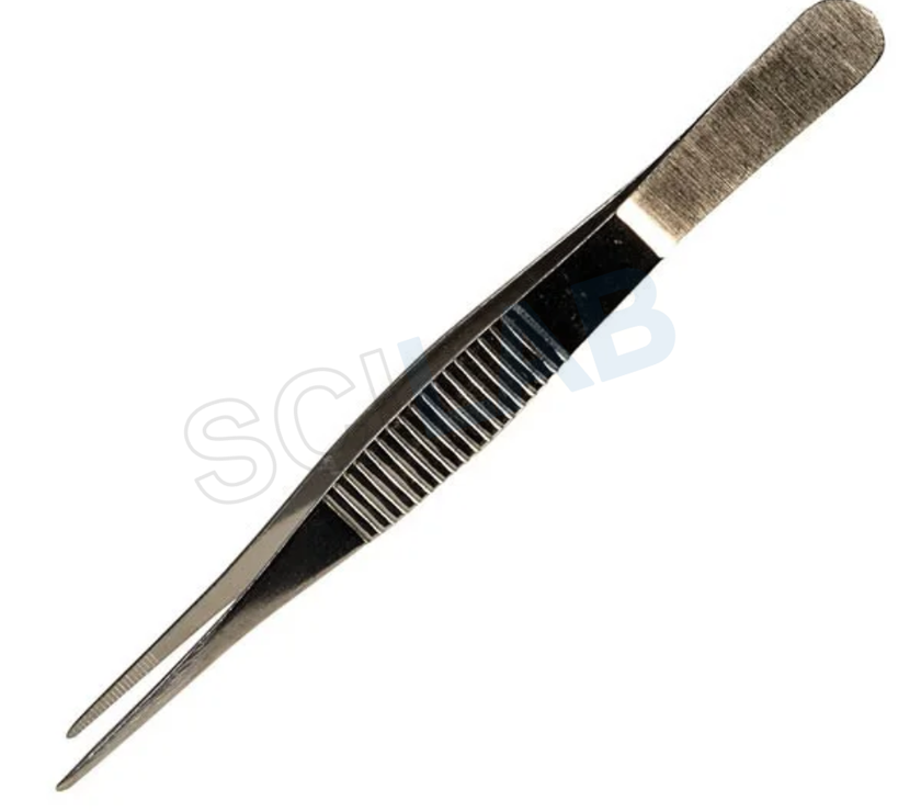 Tweezers-Straight Head-125mm-Stainless Steel