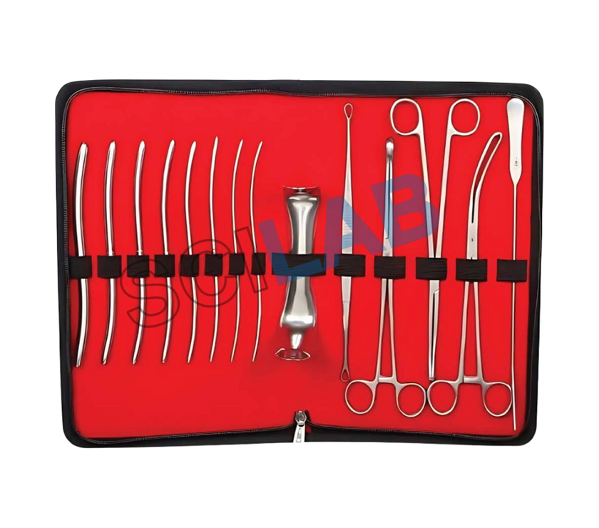 Surgical Instruments Set: 22 Pcs D&C with Kit Bag
