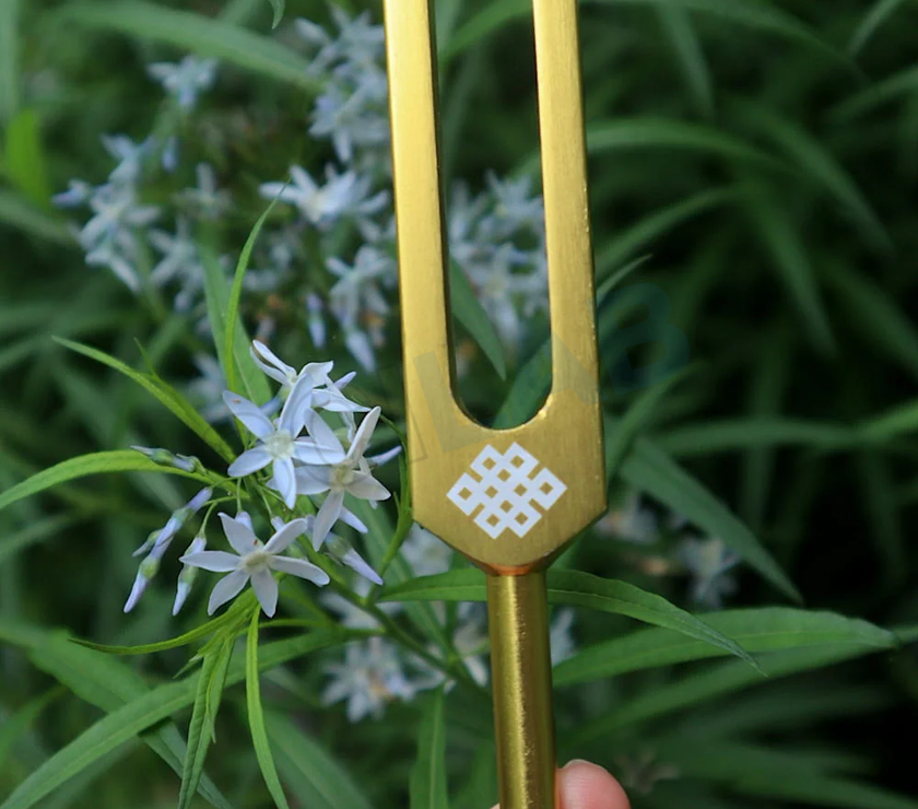 68.05 Hz Weighted Tuning Fork - Earth Star