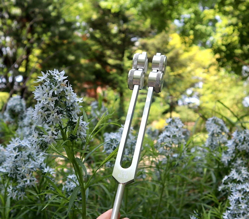 68.05 Hz Weighted Tuning Fork - Earth Star