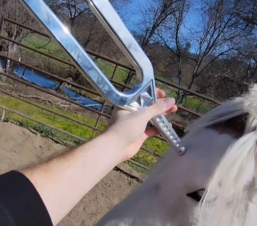 342 Hz Sound Swords – Heart Chakra Healing & Harmony