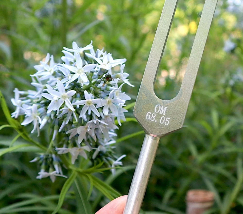 68.05 Hz Weighted Tuning Fork - Earth Star