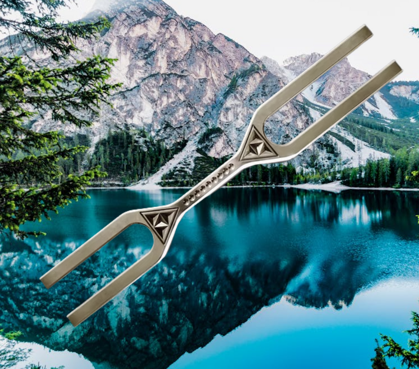 Sound Therapy Giant Tuning Fork 342Hz 512Hz